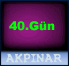 40.G&uuml;n